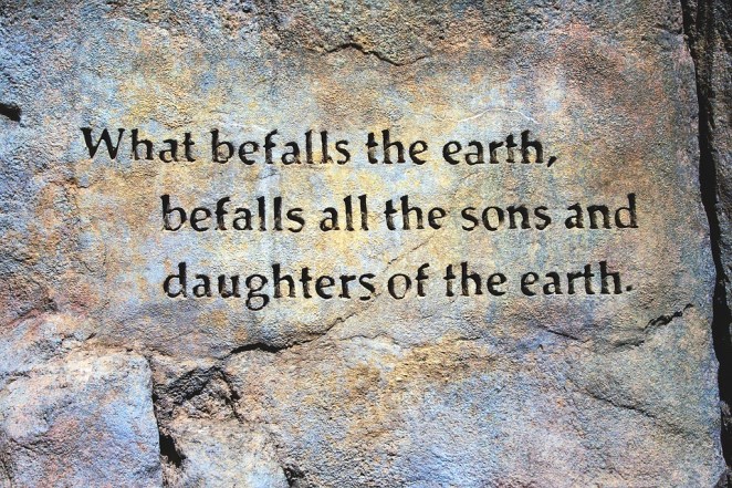befall-the-earth-quote